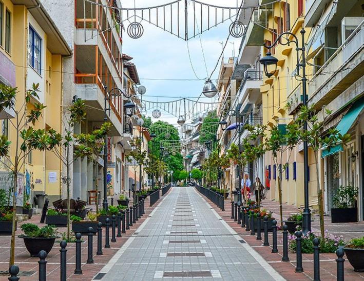 Nicki House Apartment Ioannina Bagian luar foto